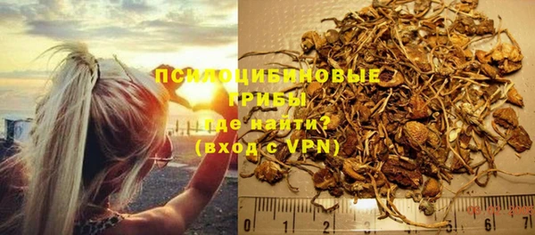 а пвп мука Абаза
