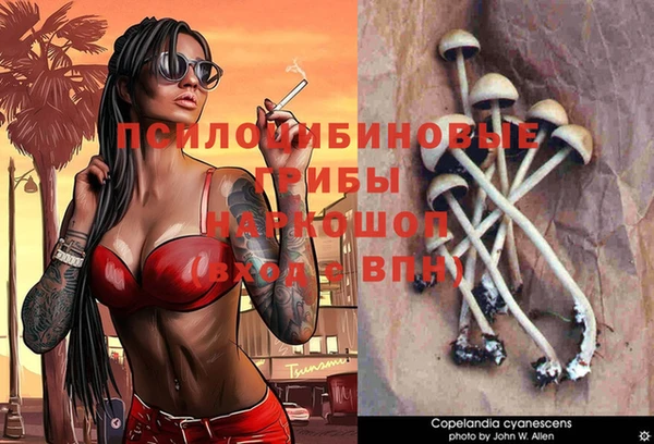 а пвп мука Абаза